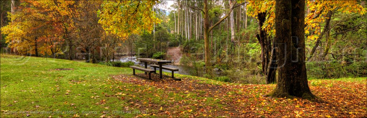 Peter Bellingham Photography Bogong - VIC (PBH3 00 34432)